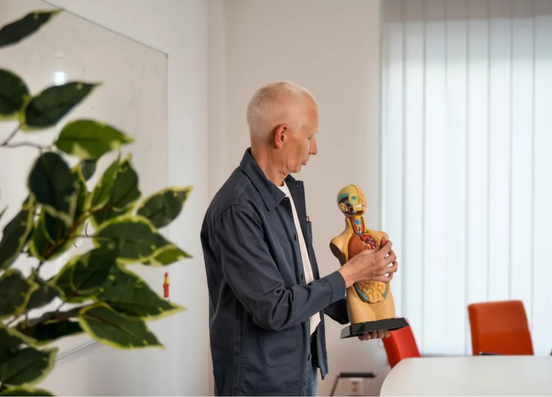 Lärare visar en anatomisk modell